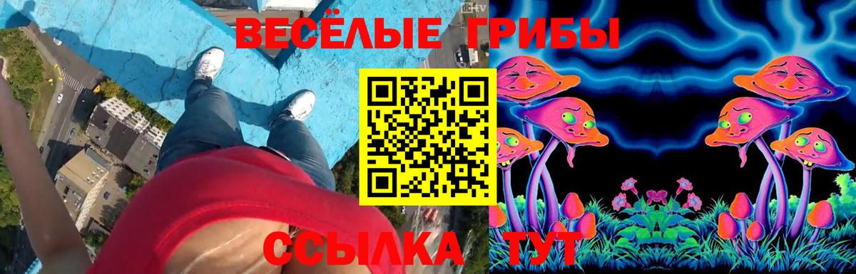 Вятские Поляны  Псилоцибиновые грибы мухоморы  Вход с VPN 